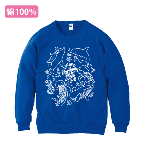 レギュラートレーナー